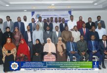 Tababbarka Guddi-hoosaadyada Dowladda ee Hirgelinta Siyaasadda Darajooyinka iyo Mushaaraadka Shaqaalaha Rayidka