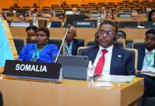 Danjiraha Soomaaliya ee Ethiopia oo Addis Ababa uga qaybgalay shir muhiim ah