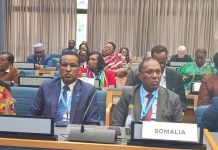 Soomaaliya oo Markii Ugu Horraysay Ku Guuleysatay Xubinimada Golaha Fulinta ee UN-Habitat