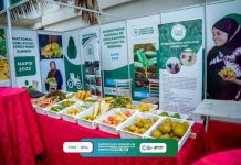 Shirwaynaha Qaran ee Maalgashiga Cuntada iyo Beeraha oo ka furmay Muqdisho