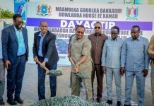 Guddoomiyaha Gobolka Banaadir oo Dhagax Dhigay Dib U Dhiska Waddada Zoobe