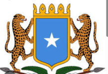 Warsaxafeedka shirkii madasha iyo Dowladda Federaalka