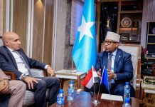 Wasiirka gaashaandhigga oo qaabilay danjiraha Masar ee Soomaaliya