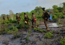 Hawlgal ka dhacay Jubada hoose oo lagu dilay maleeshiyaad ka tirsan Khawaarijta