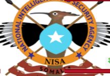 howlgal qorsheysan oo lagu dilay kooxo khawaarij ah oo ku sugnaa Sh/Dhexe