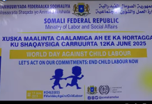 Wasaaradda Shaqada XFS oo ku baaqday in la joojiyo ku shaqeynta carruurta