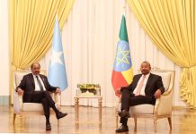 Madaxweynaha JFS oo kulan la qaatay Abby Ahmed