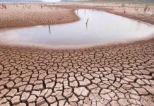 Sidee Isbeddelka Cimiladu u Hurinayaa Degganaansho La’aanta Geeska Afrika?