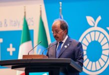 “Soomaaliya waxay xal u noqon kartaa cuno yarida” madaxweyne Xasan Sheekh