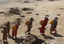 Ficilada Cimilada Soomaaliya: Khataraha, Digniinaha hore iyo Xalka