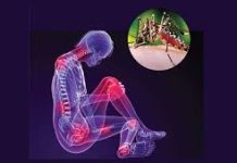 Soomaaliya iyo mar kale Kaduudiye (WARBIXIN)