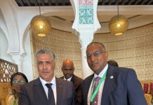 Soomaaliya oo ka qayb gashay Shirka Sanadlaha 44-aad ee Guriyeynta Afrika