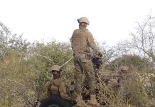 Ciidanka NISA oo howlgal qorsheysan ka fuliyay deegaanka Dhanaane ee gobolka Shabeellaha Hoose