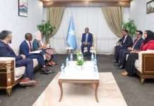 Ra’iisul Wasaare Xamsa oo xafiiskiisa ku qaabilay Ku-xigeenka Agaasimaha Guud ee Hawlgallada Hey’adda (IOM)