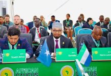 Shirka Wasiirrada Maaliyadda Africa oo ka furmay Central Africa Republic