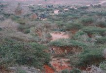 In ka badan toban khawaarij ah oo lagu dilay howlgallo ka dhacay Hirshabeelle iyo Galmudug