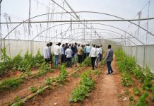 Wasaaradda beeraha oo xoogga saaraysa beerashada casriga ah