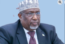 Guddoomiye Aadan madoobe oo diray hambalyo ku aaddan 1-da Luulyo