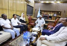 Guddoomiye Aadan madoobe oo qaabbilay wafdi ka socda Sweden