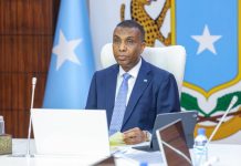 ๐๐โ๐ข๐ข๐ฌ๐ฎ๐ฅ ๐๐๐ฌ๐๐๐ซ๐ ๐๐๐ฆ๐ฌ๐ ๐จ๐จ ๐๐๐ซ๐๐ฒ ๐ก๐๐ฒโ๐๐๐๐ก๐ ๐๐จ๐ฐ๐ฅ๐๐๐๐ ๐ข๐ง ๐๐ฒ ๐ฌ๐ข ๐๐๐ ๐๐๐ ๐๐ก ๐ ๐ฎ๐ซ๐ฆ๐๐ ๐ฎ ๐ ๐๐๐ซ๐ฌ๐ข๐ข๐ฒ๐๐๐ง ๐๐๐๐ค๐ g๐จ๐๐จ๐ฅ๐ค๐ ๐๐ฐ๐๐๐ฅ