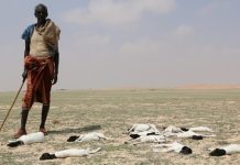 Soomaaliya iyo saameynta Isbedelka Cimilada