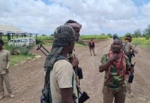 Ciidanka Xoogga Dalka oo howlgal qorsheysan ka fuliyay Shbaeellada hoose