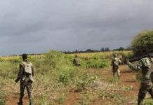 Ciidanka Xoogga oo Shabeellaha Hoose ku dilay maleeshiyaad khawaarij ah