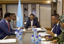 ๐๐ฎ๐๐๐ข๐ ๐ ๐๐๐ซ๐๐ง ๐๐ ๐๐ ๐๐จ๐ซ๐ญ๐๐ ๐ ๐ ๐๐๐๐๐ ๐๐ก๐๐ช๐ข๐๐๐ ๐ข๐ฒ๐จ ๐๐ ๐๐๐ ๐๐๐ฅ๐๐ง๐ค๐ ๐๐๐๐ฅ๐ ๐๐ฅ๐ข๐ง๐ญ๐ ๐๐ซ๐ ๐๐ ๐ข๐ฑ๐ข๐ฌ๐๐๐ ๐จ๐จ ๐๐๐๐ง๐ญ๐ ๐๐ฎ๐ฅ๐๐งYeeshay