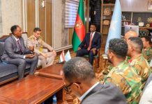 Wasiiru Dowlaha Gaashaandhigga oo kulan la qaatay Xiriiriyaha Difaaca ee Safaaradda Masar