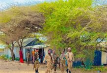 Ciidamada Xoogga Dalka oo fuliyay howlgal qorsheysan