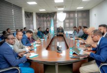 Maxaa ka soo baxay kulamadii hoggaanka HSJ ay ku tegeen UK iyo Jarmalka?