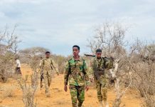 Horjooge katirsan khawaarijta oo lagu dilay howlgal ka dhacay gobolka Bakool