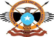 Hawlgal lagu dilay maleeshiyaad ka tirsan Khawaarijta oo Shabeelaha hoose ka dhacay