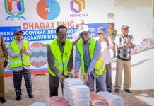 Guddoomiye Kuxigeenka Amniga iyo Siyaasadda Maamulka Gobolka Banaadir Mudane Maxamed Axmed Diiriye (Yabooh) ayaa dhagax-dhiggay waddo interlock oo laga hirgelinaayo waaxda Saqaawadiin ee Degmada Shibis, iyadoona dhismaha waddadaan ay iska kaashanayaan bulshada iyo Maamulka Degmada. Guddoomiye Yabooh ayaa bogaadiyay dadaalada ee iskaashi ee shacabka iyo Maamulka Degmada ay ku dhisanayaan waddooyinka xaafadaha, taasi oo qeyb ka qaadaneysa bilicda iyo horumarka degmada, isagoona kula dardaarmay in laga wadashaqeeyo bilicda iyo amniga. Munaasabadda dhagax dhigga waxaa goobjoog ka ahaa Guddoomiyaha Degmada Shibis Mudane Axmed Cabdulqaadir Cali, Odayaasha dhaqanka, Agaasimeyaal iyo qeybaha kala duwan ee bulshada.