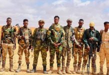 Ciidanka Xoogga oo howlgallo ka dhan ah khawaarijta ka fuliyay deegaano ka tirsan gobolka Mudug