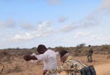 Ciidanka NISA oo soo bandhigay xubno katirsanaa Khawaarijta oo isku soo dhiibay dowladda