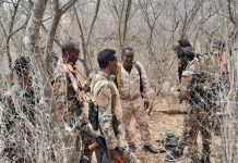 Ciidanka xoogga oo hawlgal ka fuliyey deegaano ka tirsan Gobolka Baay