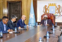 Speaker of the Parliament Holds Fruitful Meeting with UN Special Representative for Somalia