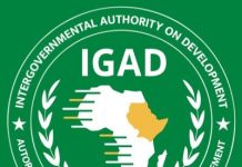 IGAD oo soo dhaweysay heshiiska ay wada gaareen Madaxda DFS iyo Madasha Samatabixinta