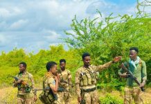 Ciidanka Xoogga oo howlgallo nabad-sugid ah ka fuliyay Sh/Hoose