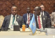 Wasiirka Ganacsiga iyo Warshadaha XFS oo ka qeyb galay Bandhigga Ganacsi ee Afrika