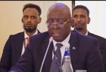 Wasiirka Warfaafinta XFS oo Ruushka kaga qeybgalay shir la xiriiray dhaqanka iyo diblomaasiyadda