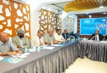 Hay’adda Isgaarsiinta oo Qabatay Wada-tashi ku saabsan Qaadashada Soomaaliya ee Shabakadda Isgaarsiinta Isku-xiran (ONA)