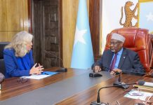 Guddoomiyaha Golaha Shacabka oo la kulmay Safiirka Midowga Yurub u qaabilsan Soomaaliya