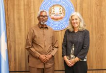 Guddoomiyaha aqalka sare oo qaabilay Danjiraha cusub ee Midowga Yurub