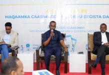 Kulan dadweyne: maqaamka caasimadda iyo dib u eegista dastuurka