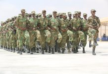 Dib u habeynta Ciidanka Xoogga Dalka oo si habsami leh u socota