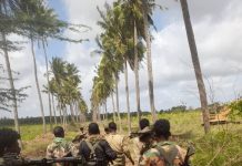 Ciidanka xoogga dalka oo howlgal guuleystay ka fuliyay Shabeellada hoose