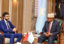 Wasiirka gaashaandhigga oo qaabilay safiirka Turkiga