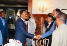 Jaaliyadda Soomaaliyeed ee Minnesota oo kulan soo dhaweyn ah u sameeyay Wasiir ku-xigeenka Warfaafinta